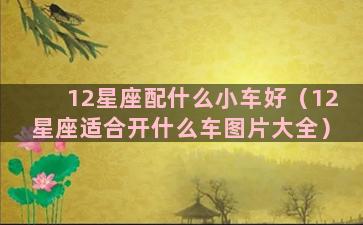 12星座配什么小车好（12星座适合开什么车图片大全）