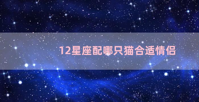 12星座配哪只猫合适情侣