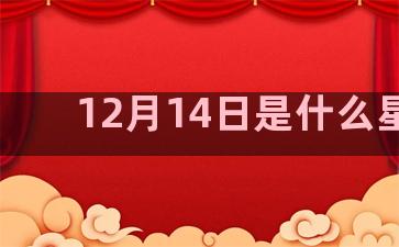 12月14日是什么星座