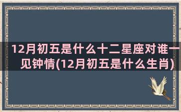 12月初五是什么十二星座对谁一见钟情(12月初五是什么生肖)