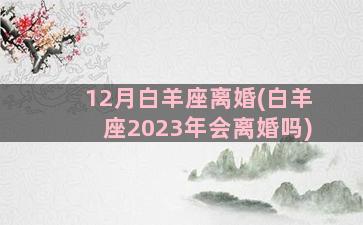 12月白羊座离婚(白羊座2023年会离婚吗)