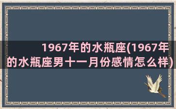 1967年的水瓶座(1967年的水瓶座男十一月份感情怎么样)