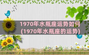 1970年水瓶座运势如何(1970年水瓶座的运势)