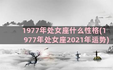 1977年处女座什么性格(1977年处女座2021年运势)