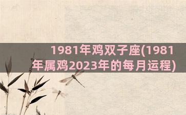 1981年鸡双子座(1981年属鸡2023年的每月运程)