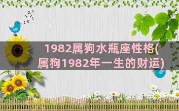 1982属狗水瓶座性格(属狗1982年一生的财运)