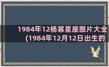 1984年12杨幂星座图片大全(1984年12月12日出生的)
