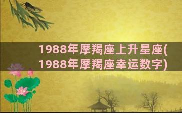 1988年摩羯座上升星座(1988年摩羯座幸运数字)