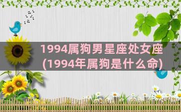 1994属狗男星座处女座(1994年属狗是什么命)