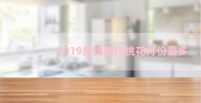 2019属狗的烂桃花月份最多