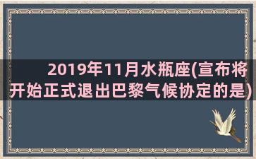 2019年11月水瓶座(宣布将开始正式退出巴黎气候协定的是)