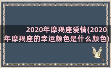 2020年摩羯座爱情(2020年摩羯座的幸运颜色是什么颜色)