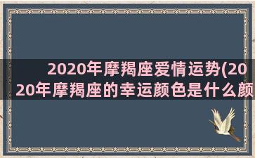 2020年摩羯座爱情运势(2020年摩羯座的幸运颜色是什么颜色)