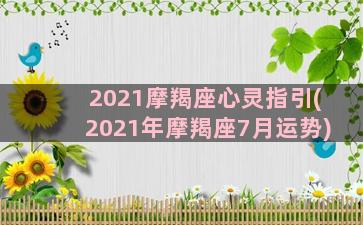 2021摩羯座心灵指引(2021年摩羯座7月运势)