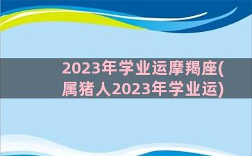 2023年学业运摩羯座(属猪人2023年学业运)