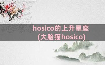 hosico的上升星座(大脸猫hosico)
