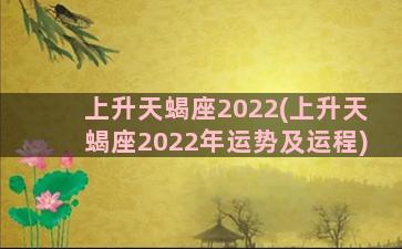 上升天蝎座2022(上升天蝎座2022年运势及运程)