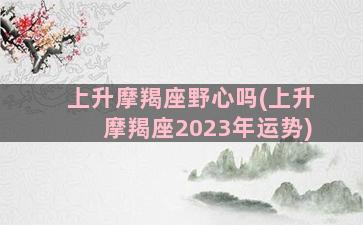 上升摩羯座野心吗(上升摩羯座2023年运势)