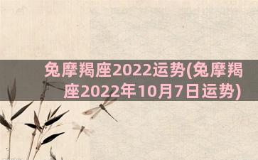 兔摩羯座2022运势(兔摩羯座2022年10月7日运势)