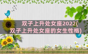 双子上升处女座2022(双子上升处女座的女生性格)