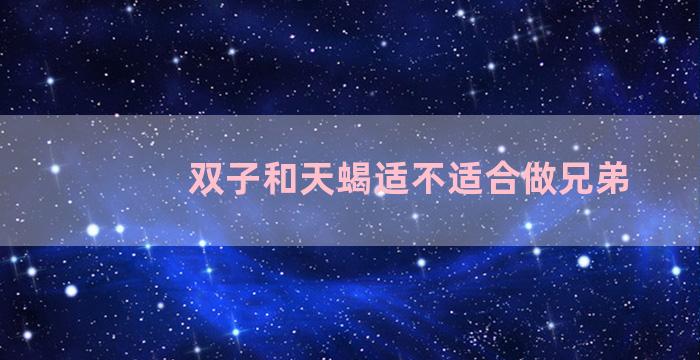 双子和天蝎适不适合做兄弟