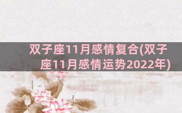 双子座11月感情复合(双子座11月感情运势2022年)