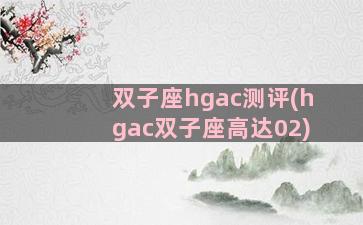 双子座hgac测评(hgac双子座高达02)