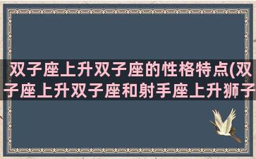 双子座上升双子座的性格特点(双子座上升双子座和射手座上升狮子座在一起)