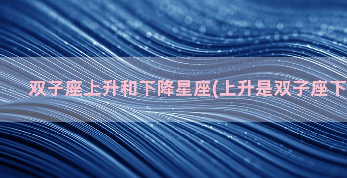 双子座上升和下降星座(上升是双子座下降是什么)