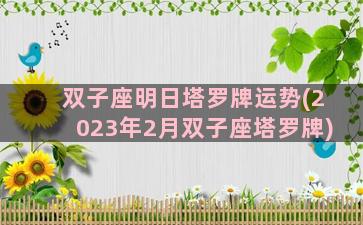 双子座明日塔罗牌运势(2023年2月双子座塔罗牌)