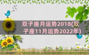 双子座月运势2018(双子座11月运势2022年)