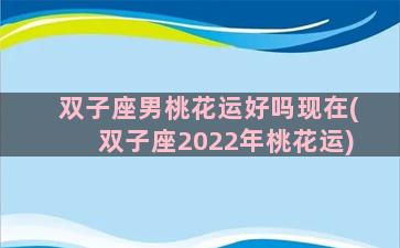 双子座男桃花运好吗现在(双子座2022年桃花运)