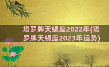 塔罗牌天蝎座2022年(塔罗牌天蝎座2023年运势)