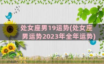 处女座男19运势(处女座男运势2023年全年运势)