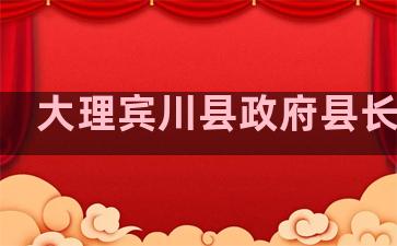 大理宾川县政府县长信箱