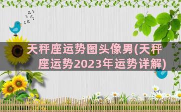 天秤座运势图头像男(天秤座运势2023年运势详解)