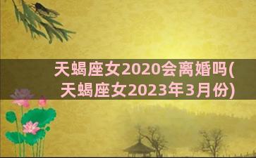 天蝎座女2020会离婚吗(天蝎座女2023年3月份)