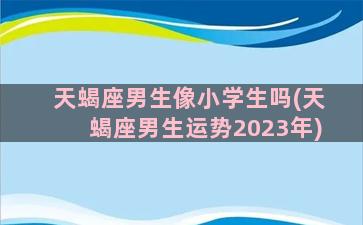 天蝎座男生像小学生吗(天蝎座男生运势2023年)