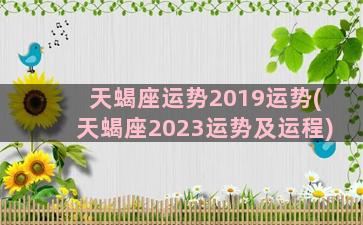 天蝎座运势2019运势(天蝎座2023运势及运程)