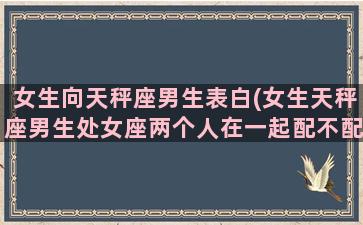 女生向天秤座男生表白(女生天秤座男生处女座两个人在一起配不配)