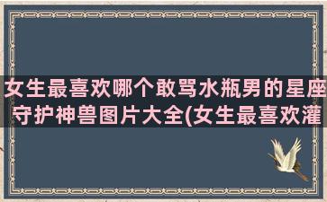 女生最喜欢哪个敢骂水瓶男的星座守护神兽图片大全(女生最喜欢灌篮高手哪个角色)