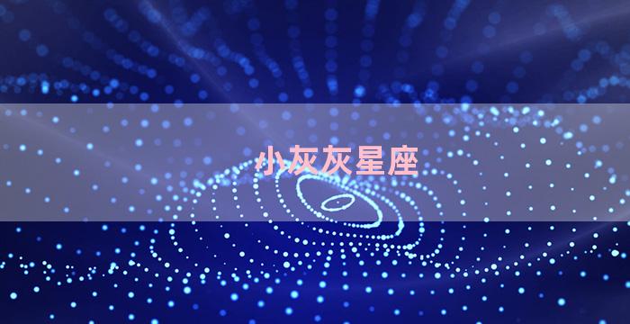 小灰灰星座