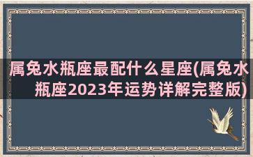 属兔水瓶座最配什么星座(属兔水瓶座2023年运势详解完整版)