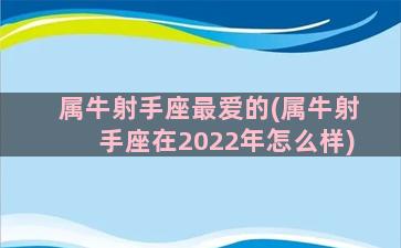 属牛射手座最爱的(属牛射手座在2022年怎么样)