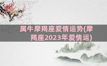 属牛摩羯座爱情运势(摩羯座2023年爱情运)