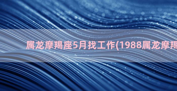 属龙摩羯座5月找工作(1988属龙摩羯座男人)