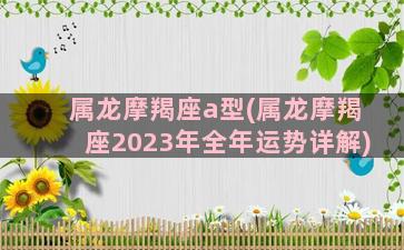 属龙摩羯座a型(属龙摩羯座2023年全年运势详解)