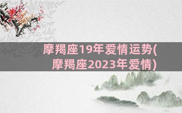 摩羯座19年爱情运势(摩羯座2023年爱情)