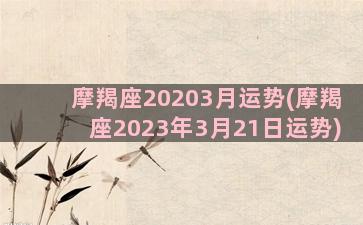 摩羯座20203月运势(摩羯座2023年3月21日运势)