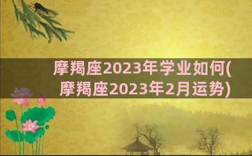 摩羯座2023年学业如何(摩羯座2023年2月运势)